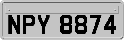 NPY8874
