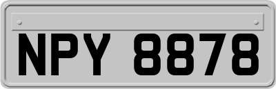 NPY8878