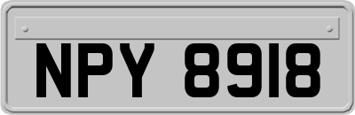 NPY8918