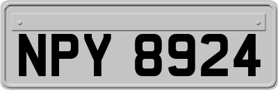 NPY8924