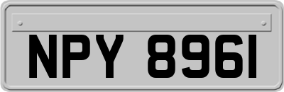 NPY8961