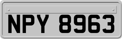 NPY8963