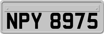 NPY8975