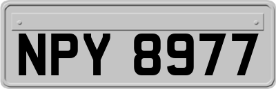 NPY8977
