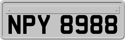 NPY8988