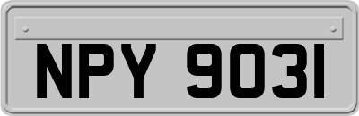 NPY9031