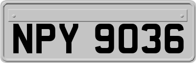 NPY9036