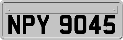 NPY9045
