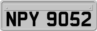 NPY9052
