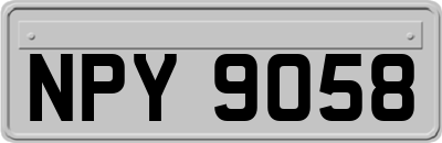 NPY9058