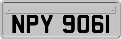 NPY9061