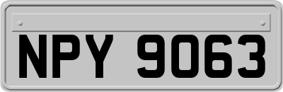 NPY9063