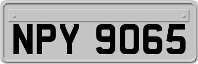 NPY9065