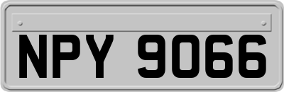 NPY9066