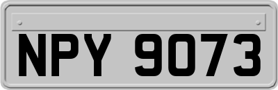 NPY9073