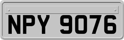 NPY9076
