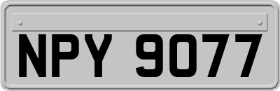 NPY9077