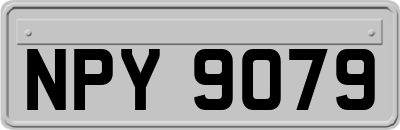 NPY9079