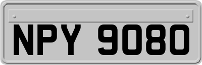 NPY9080