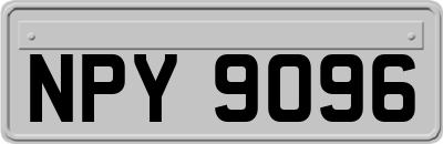 NPY9096