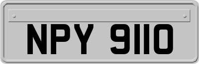 NPY9110