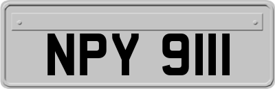 NPY9111