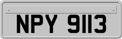 NPY9113