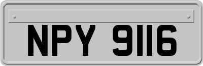 NPY9116