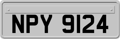 NPY9124