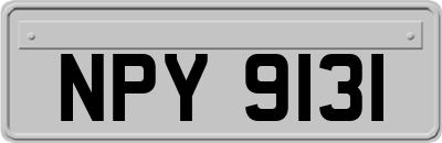 NPY9131