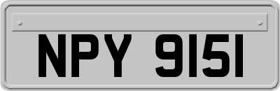 NPY9151