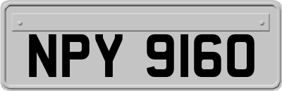 NPY9160