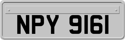 NPY9161