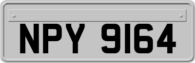 NPY9164