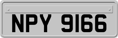 NPY9166