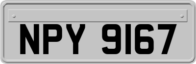 NPY9167
