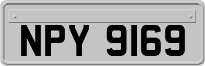 NPY9169