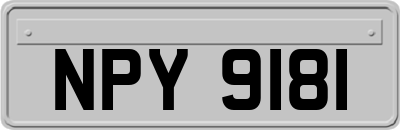 NPY9181