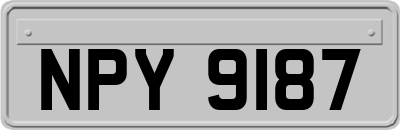 NPY9187