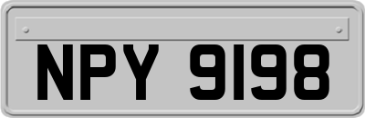 NPY9198