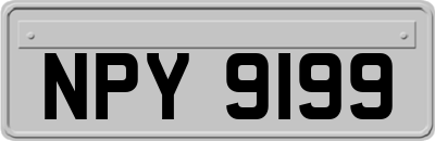 NPY9199