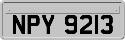 NPY9213