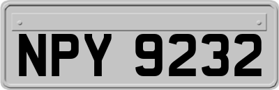 NPY9232