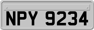 NPY9234