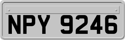 NPY9246