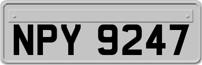 NPY9247
