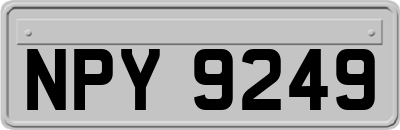 NPY9249