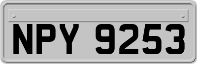NPY9253