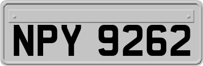 NPY9262