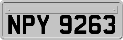 NPY9263
